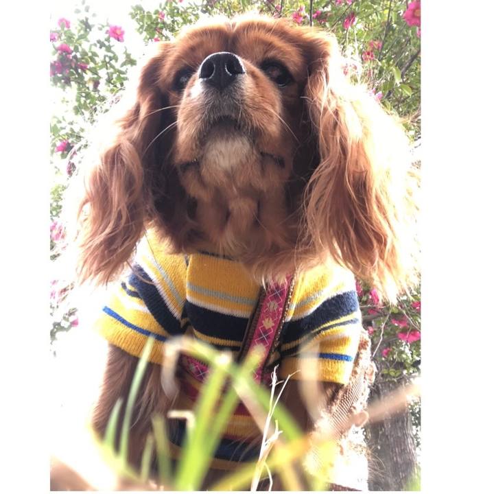 F06effa6 10e0 41aa a2db abfe42132212 1638828588337