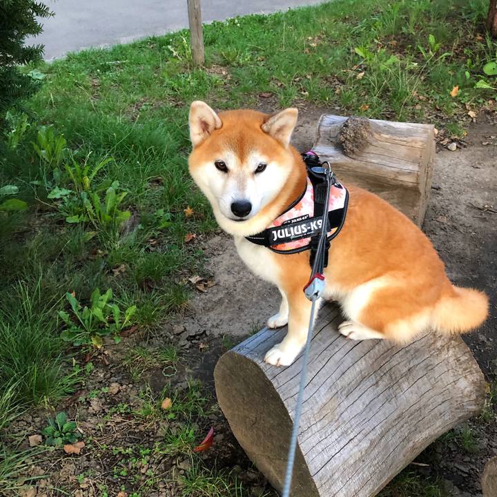 F06f0957 a761 41cc aa40 4ff7a04509ca 1567418633075