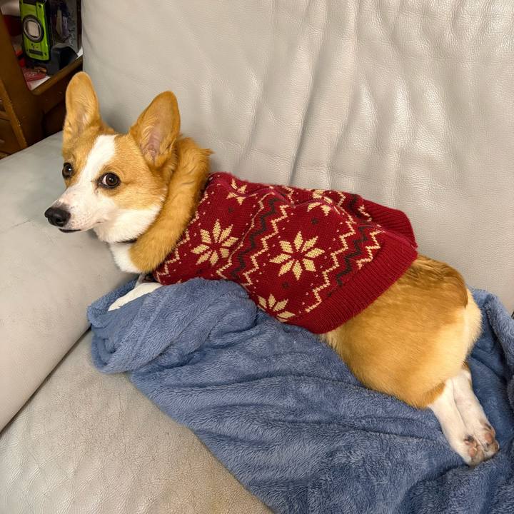 F06f1894 c9a1 477c 83c4 1ab261159e01 1768735801553