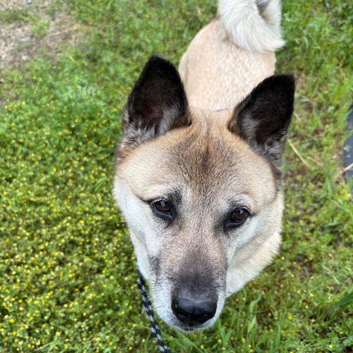 F06f1af2 c478 4200 b123 5119db946fc1 1746187295245