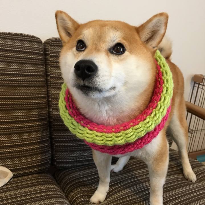 F06f2759 f905 42de 80d5 2fe76b10fce9 1540173255193