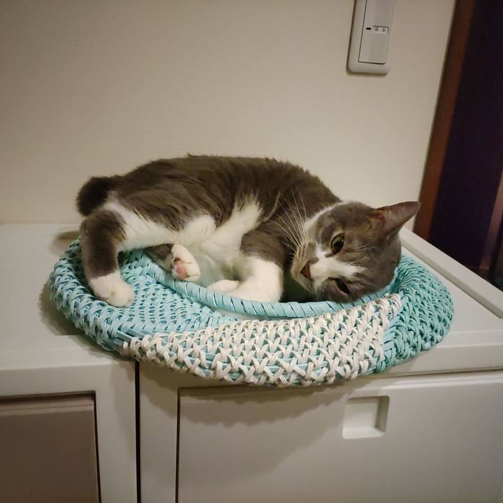 F06f5224 2fe3 4eac 92e7 7ace811bd0e4 1654093290320