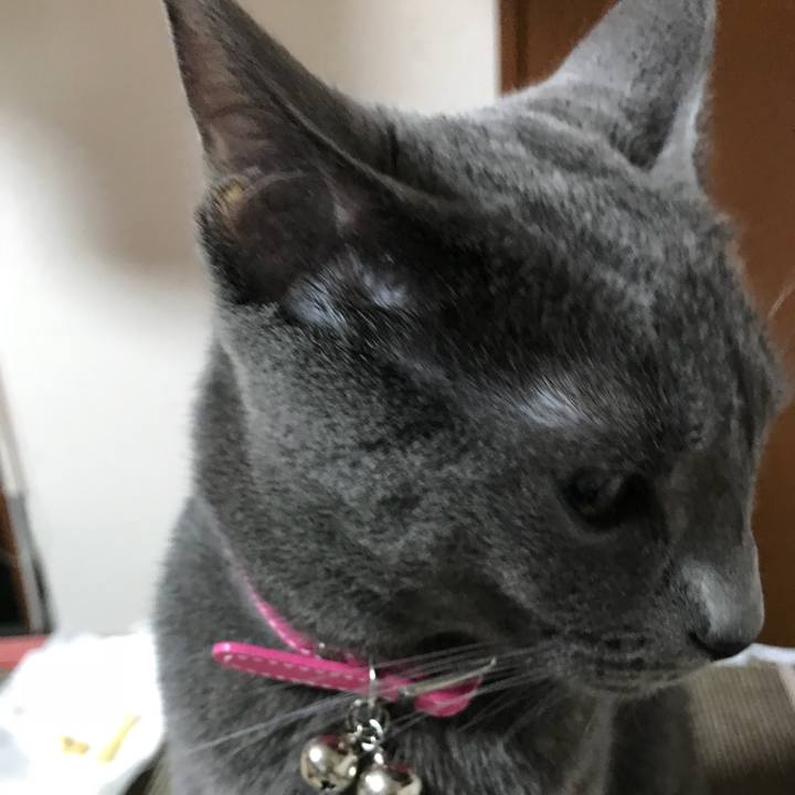 F06f8f9b 54a0 4aa6 84f2 5ec62d3b8a0e 1526650569868