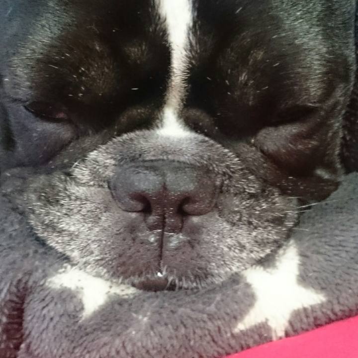 F06fdc34 7669 4a46 ac58 692ebe0f1386 1524442367341