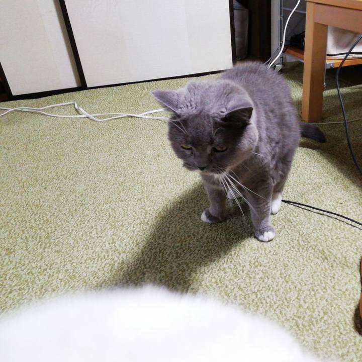 F0704295 5ea7 492f 9143 e72808359c56 1752231491637