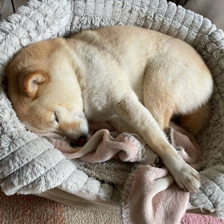 F070443e 869b 4bb5 ac4a cde75b7f7c65 1681789251725