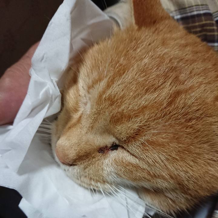 F0705486 a629 4840 aeea 0c29de63afd9 1571693330006