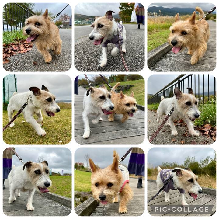 F0706ccb 586c 43b4 a6fd 7b215a0ede6b 1730041652484