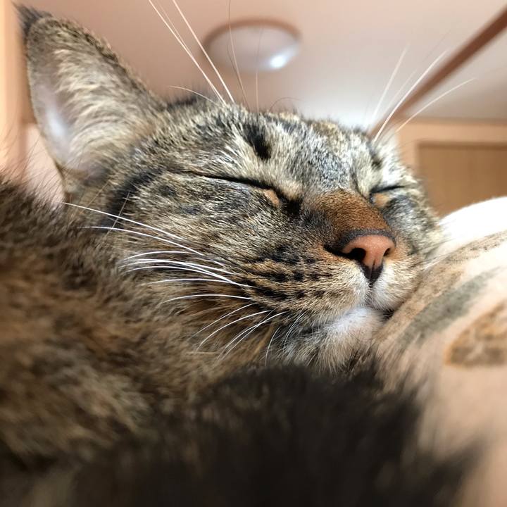 F07086ee 4455 4524 bd33 65374d8a9a16 1574514170038