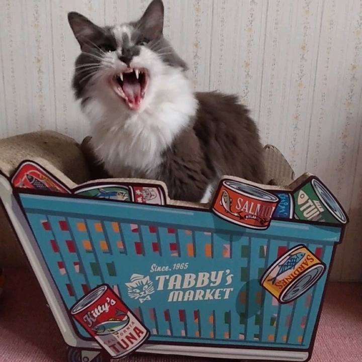 F0708e56 6ba4 4843 b9e5 7e457eb8d43a 1665056772287