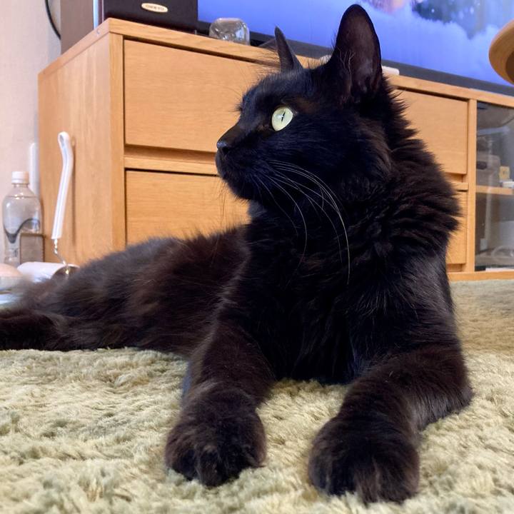 F070d35c 408a 41e1 b837 b0f54f2d07a8 1745189331206