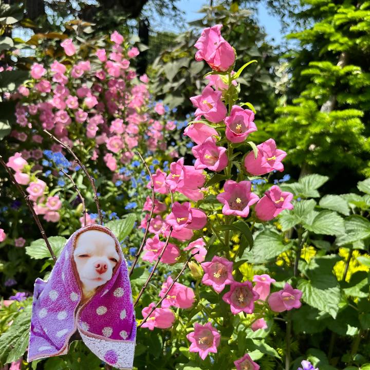 F070eb7b 4130 4f53 a728 f673bb8a01d9 1653283158733