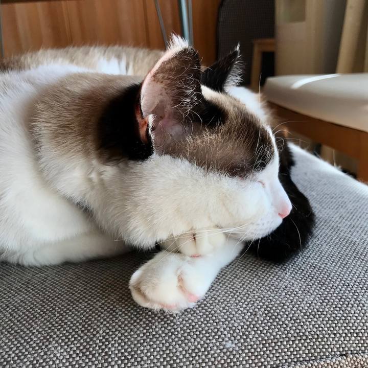 F0711cd6 2ce4 4bc0 873c 63463b6aad56 1581500701989