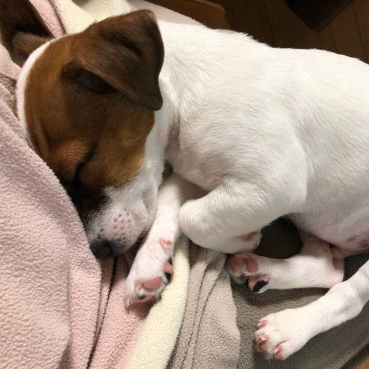 F0711dcd 82e7 43c0 84ae 33754b67363f 1513084932199