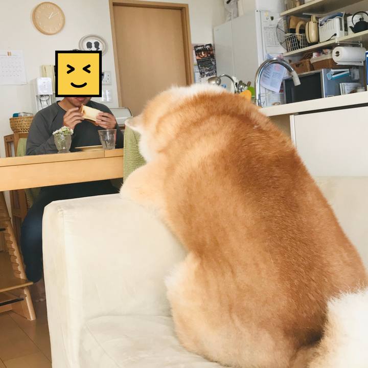 F071882b e0d5 4977 bc47 aff68e665e9a 1555165557788