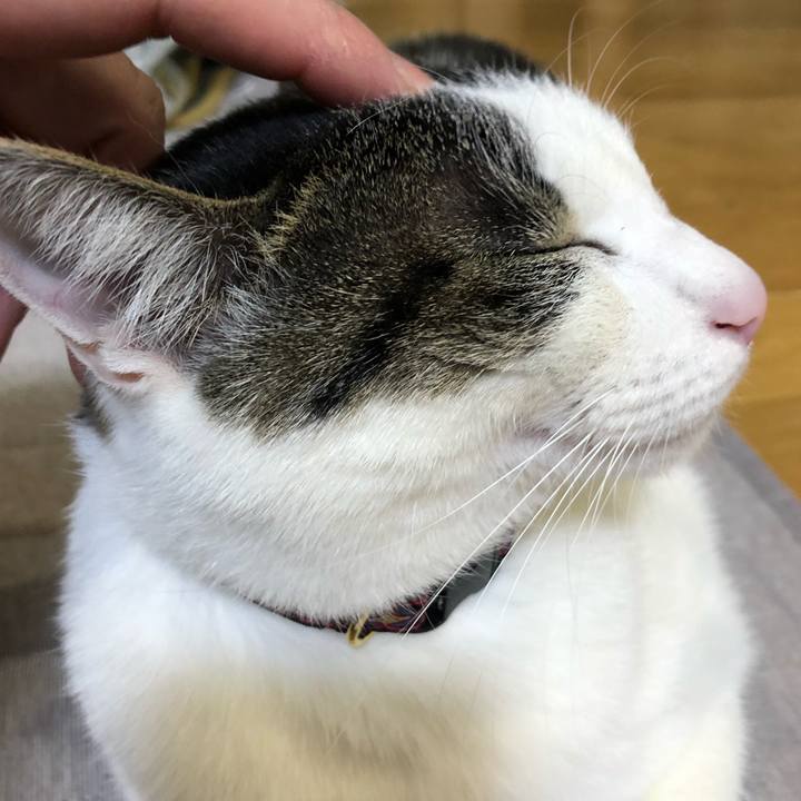 F071d981 5a7d 4578 a502 4bde0e6e577a 1644497632728