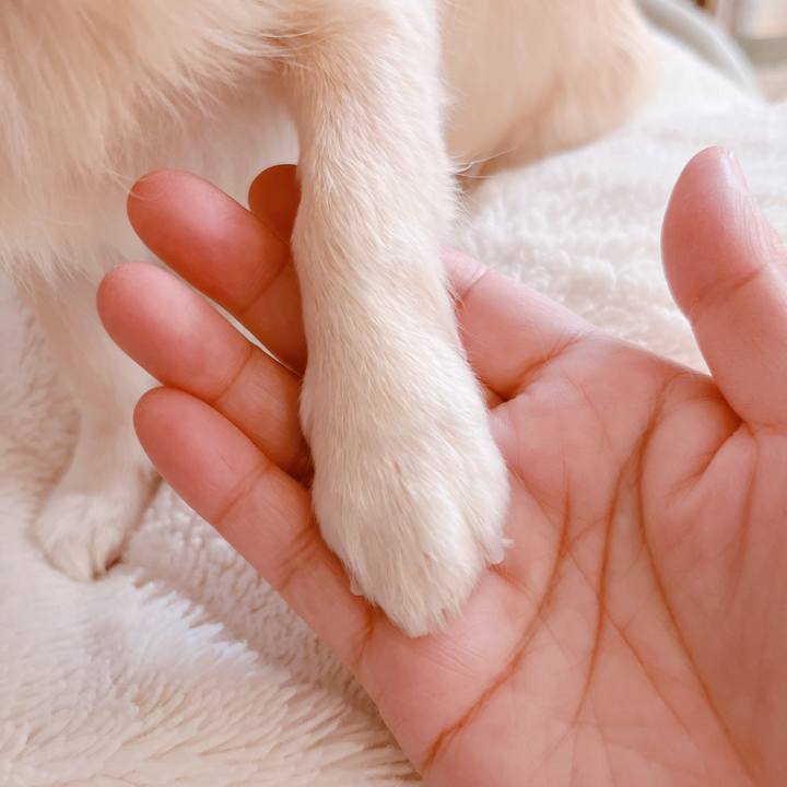 F071e374 dc2b 4dca a3f5 04b84a8ff63b 1667385661236