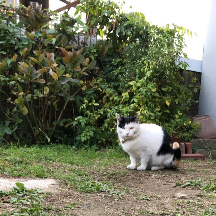 F071eb1e e976 4f26 9874 c7f6eb9f6145 1606608284138