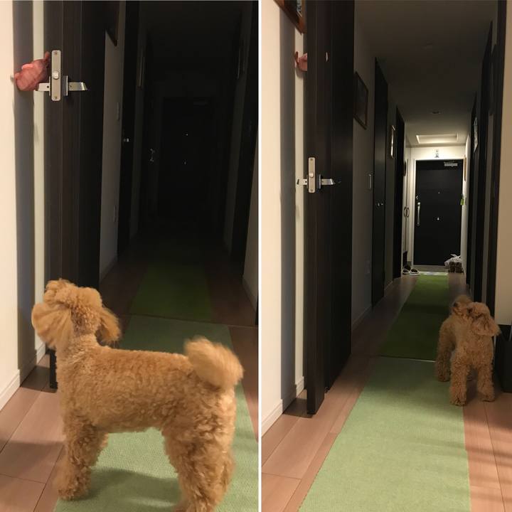 F0727ce3 c58e 4785 acff 8e294d325438 1516798845463