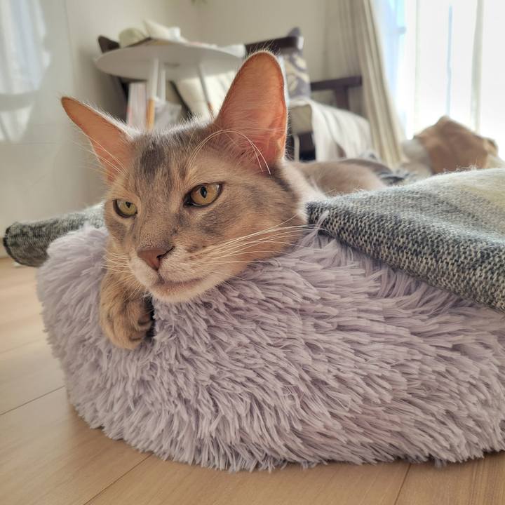 F0727da4 e340 4ebb 9c1d eb86f5f4ddd8 1672279698951