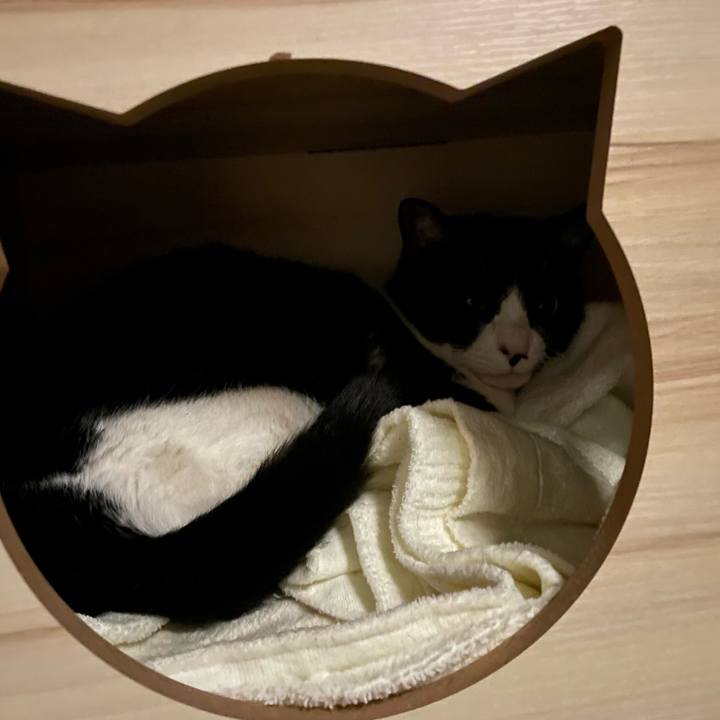 F0727ff0 6c15 4704 a5d8 19cd5d3d7ca6 1709571078625