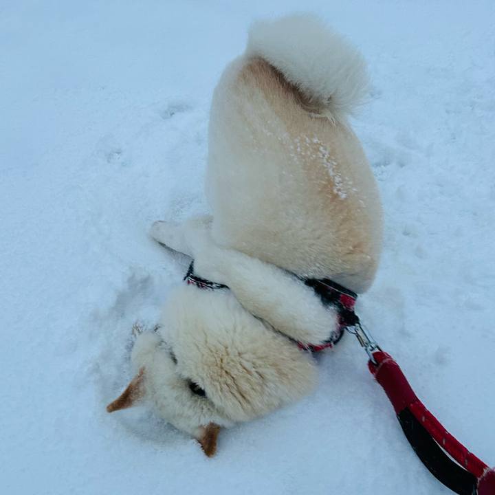 F07295ba 81b6 481b a86d 5bfa85254f38 1766720604726