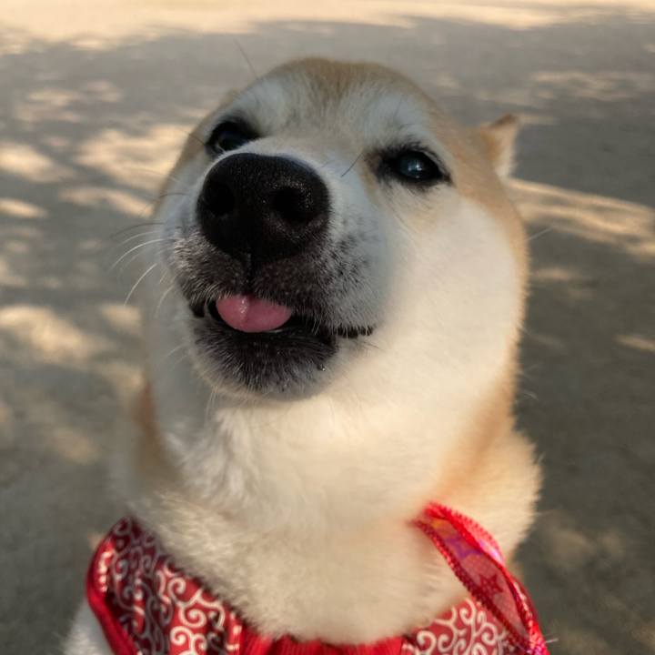 F072bc78 1841 42e9 9e95 146f4dc20aee 1627393042252