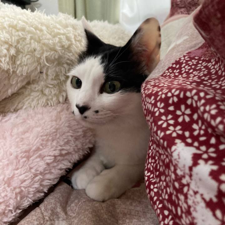 F07300c9 490f 488c b853 3e58cfdb1c8a 1767748794200