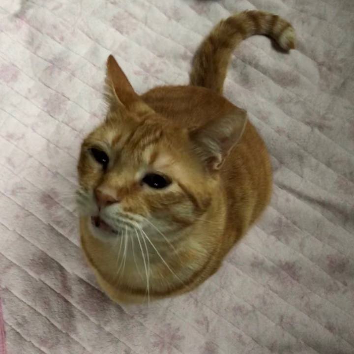 F073325f 7fdc 4e63 964d 206c9b93de1e 1562924886511