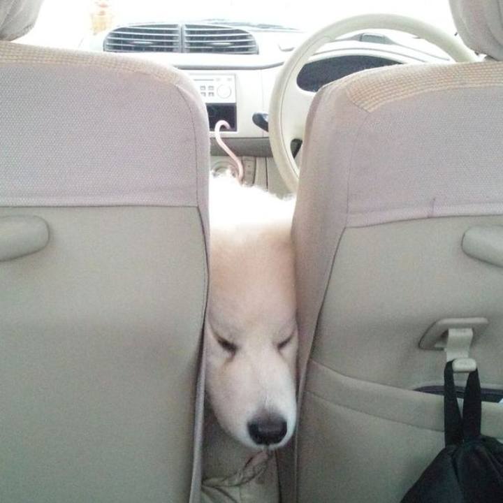 F0734840 ac76 4f39 88a0 1fa9c2e25283 1678317244410