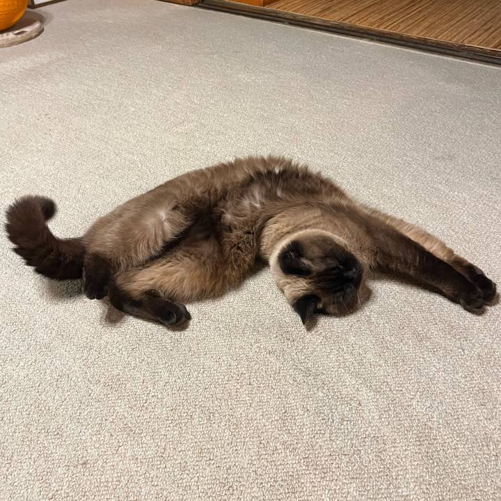 F0736231 4b29 46b7 a66c 5db02b3cab54 1714982961818