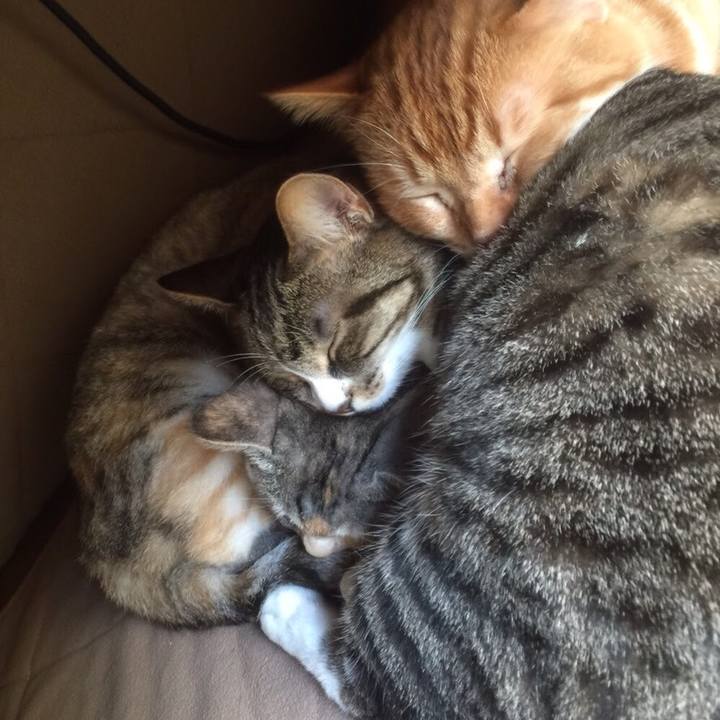 F073653c b4fb 4f65 8a36 2c83546059d8 1547272697705