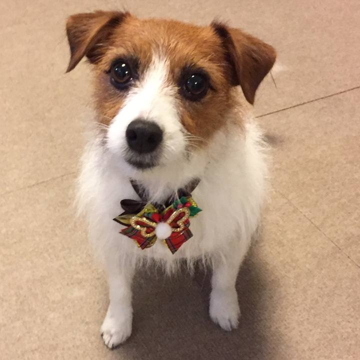 F0736c34 2693 4820 9109 b38e07bf4e04 1512210795945