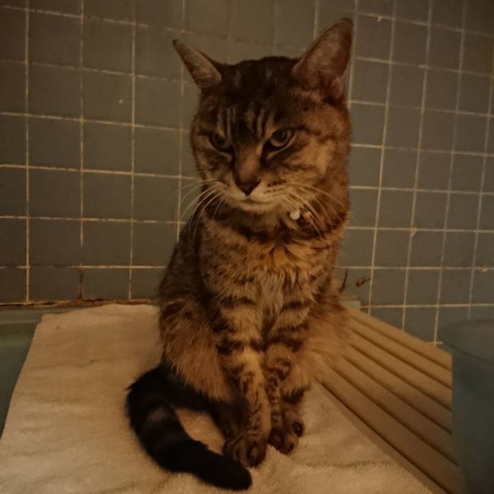 F073808e 3ee6 4184 9f5f 35d0356fd463 1581932753724