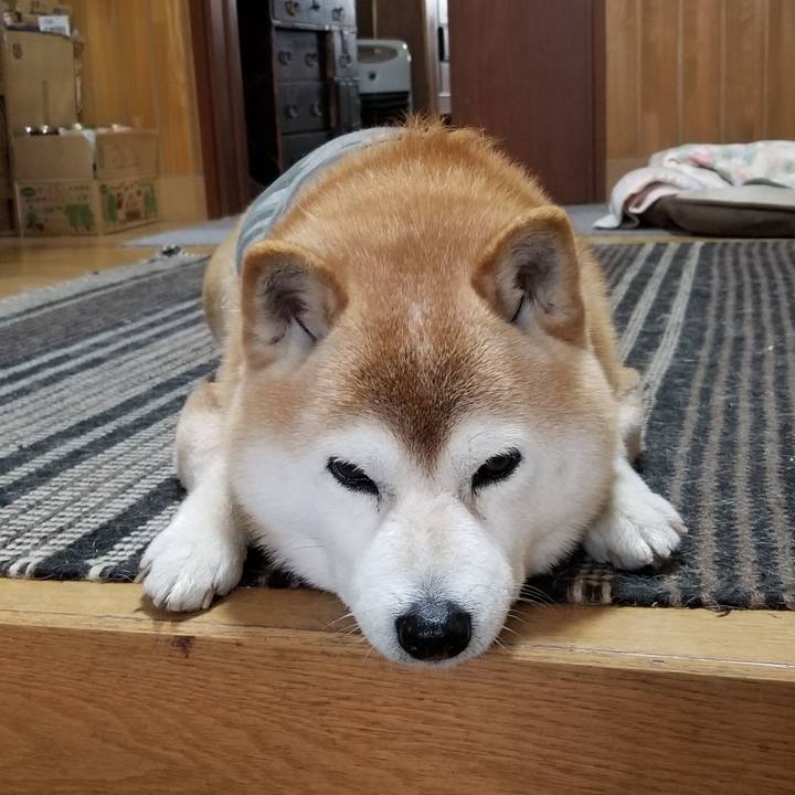 F073d5dc 584e 43db 981d 46e45aedf826 1678691878140