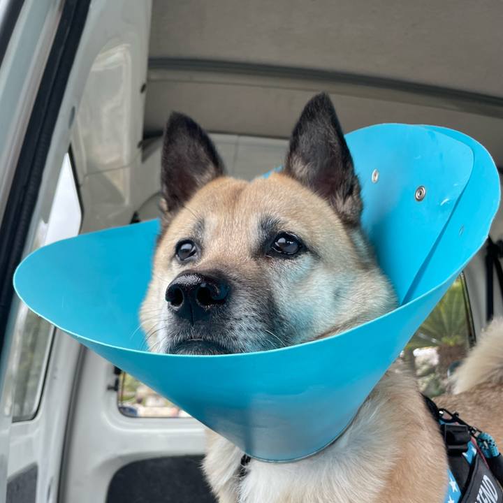 F074448b ec54 4cb5 bc24 706ba8cf59af 1712063480961