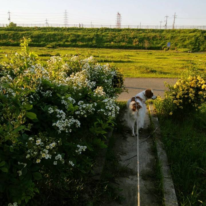 F0744e38 8b96 4d30 94ea c0307209afdd 1557056835230