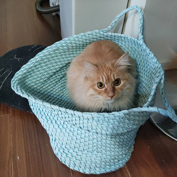 F074b89e 6f6c 45dc bb16 585125d04a58 1676464617736