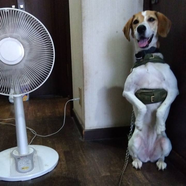 F074c2d5 cbd6 4272 91f0 63d84f174a28 1691899496047