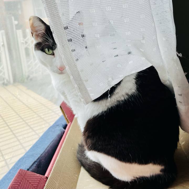 F07525ac 3955 4bd7 9a32 5d6b2abf2ce7 1623555011340