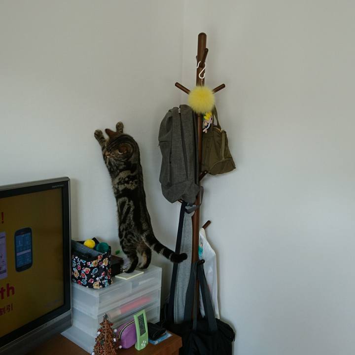 F0756567 60bf 4fb7 aad2 fd0532edcf82 1512442135721