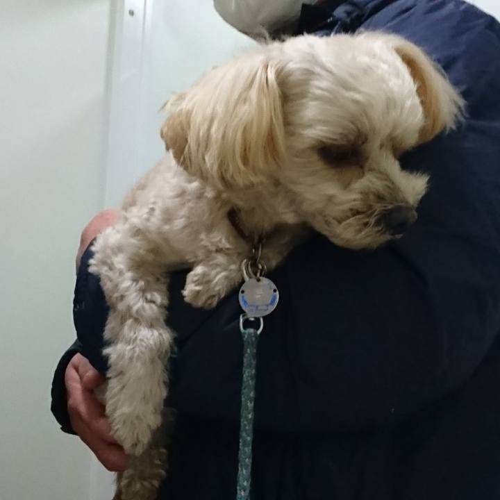 F075a3a7 eda2 4125 ac75 7f1c80e35d7e 1608341394321