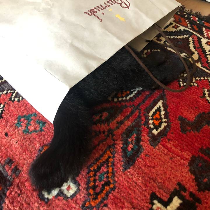 F075a4f0 6be5 4627 bebe bff5ccc54b2b 1564438537038