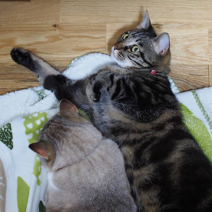 F075c24f 7e31 4ec7 9a60 3e6a76686bc8 1595821036502