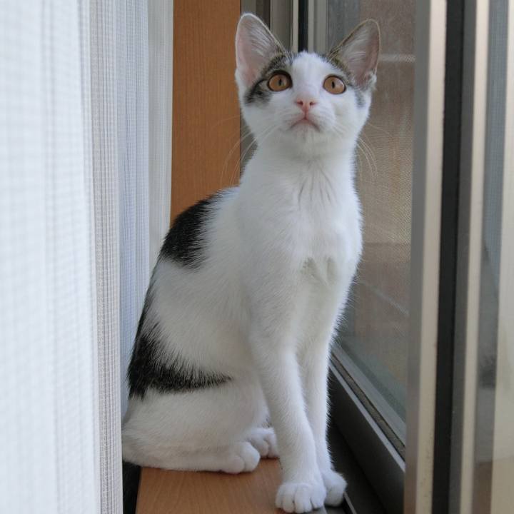 F075de8e e014 4004 b0c7 b1764f0ead90 1566427838614