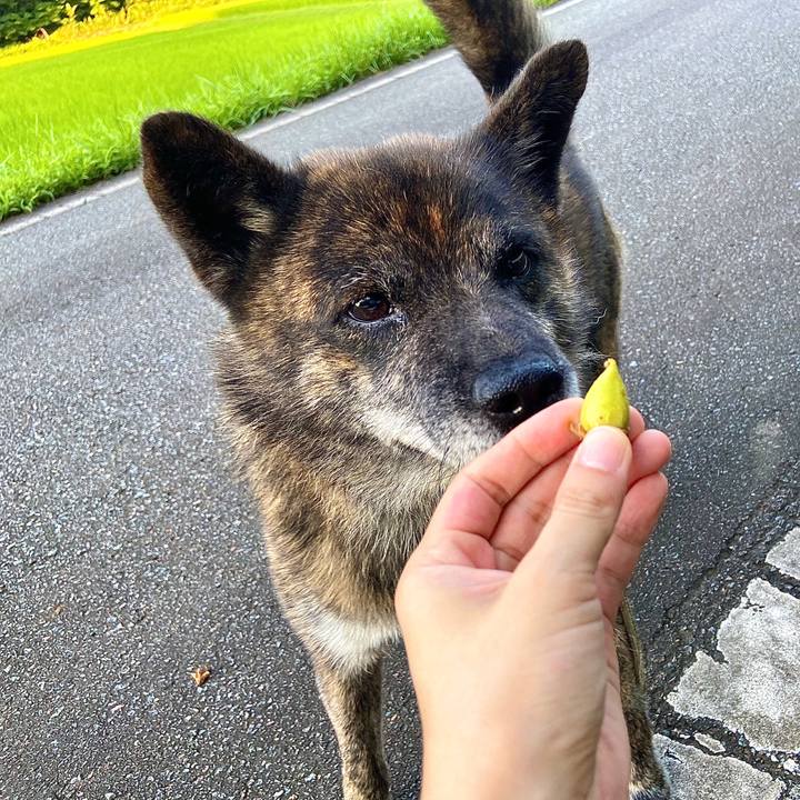 F0760263 74a1 4569 89c3 5c609326da40 1596279431099