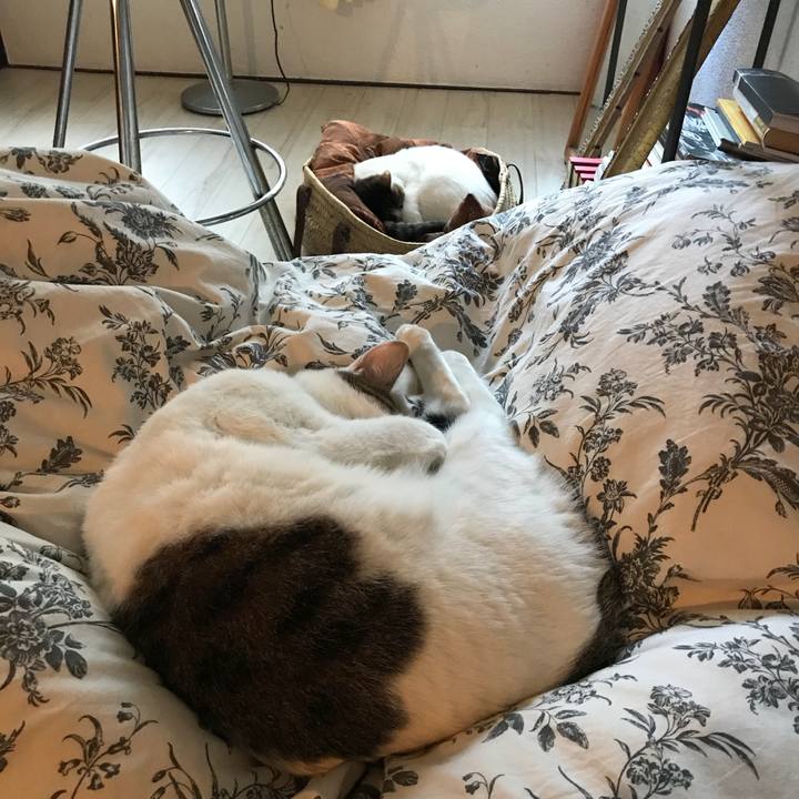 F0760f55 b8b8 4b08 826f c0acc36fe90d 1515477654778