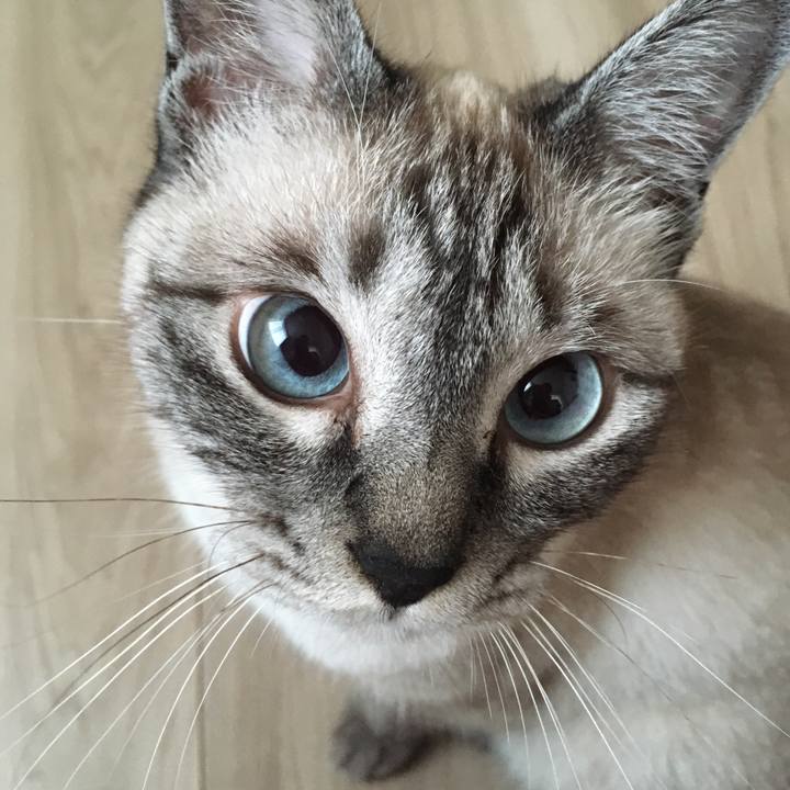 F0761e27 607d 48b3 a06f 1c31127061e6 1592003718010