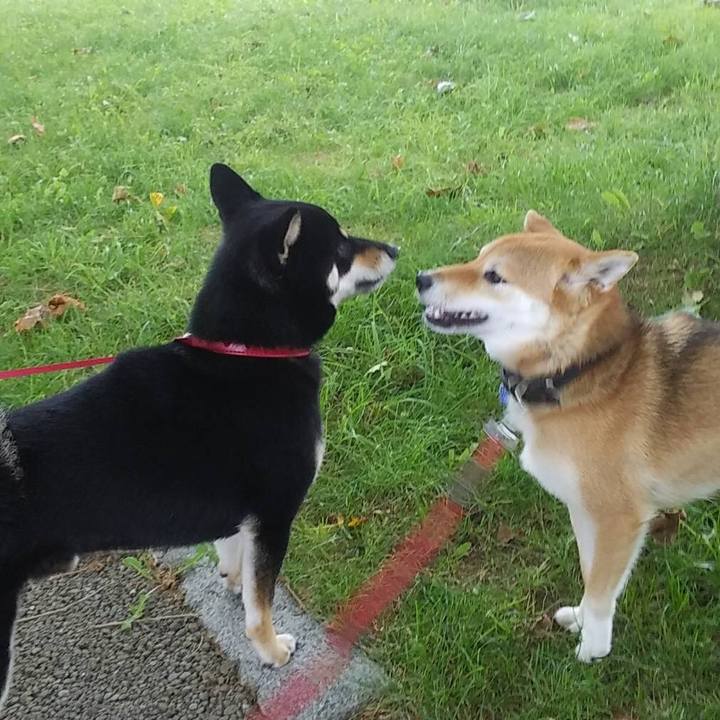 F0762b5d cf16 4dd0 9f83 f4452aea5291 1533807761937