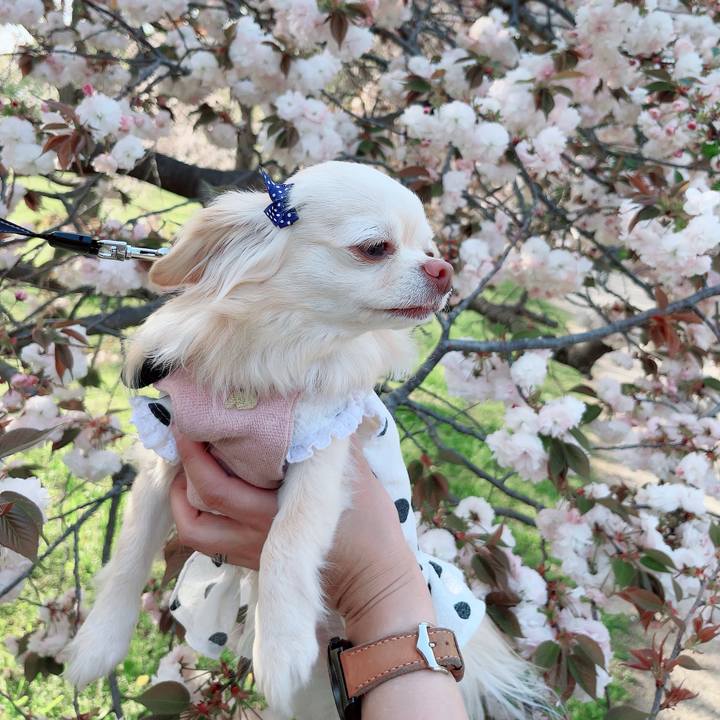 F0763ee1 8b9c 4565 8e98 d2bf13ddc82c 1713084339162